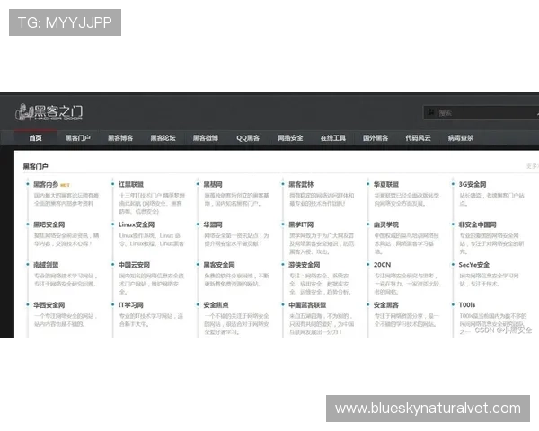 爱游戏(AIYOUXI)网站登录安全指南保障账号信息安全的实用技巧